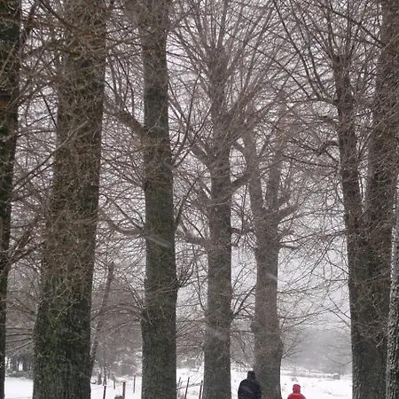 Casa Del Altozano * Barajas de Gredos