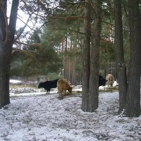 Ferienhaus Casa Del Altozano *